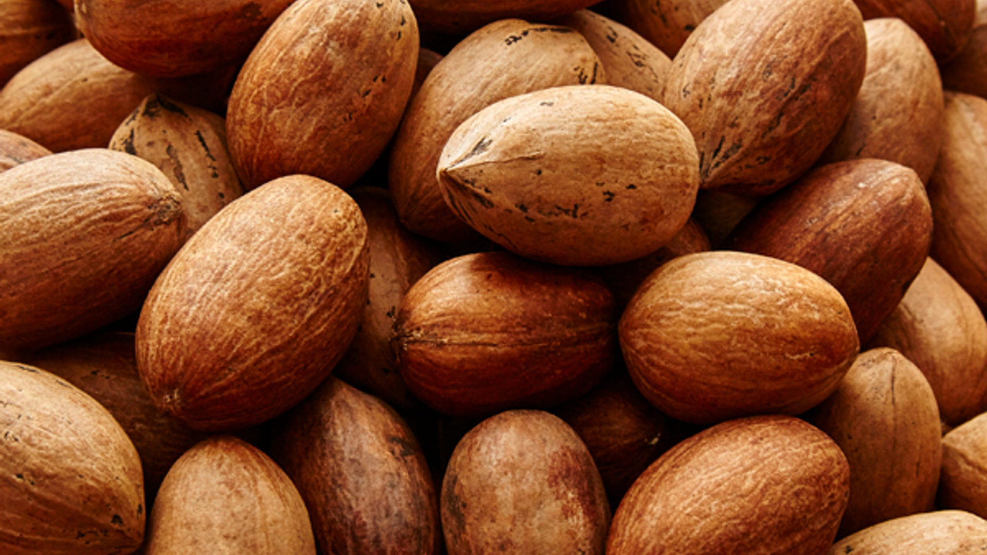 Inshell Pecans